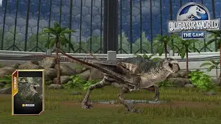 PLAY BOSS BATTLE AS THE PTEROSAUR BOSS TO GAIN NEW DINO FROM AMBER MARKET - Jurassic World The Game 