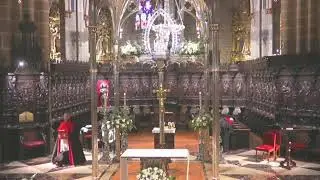 Ordenación Sacerdotal - Directo - Catedral Pamplona