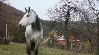 Repi&scaron;te - Slovak village