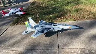 Arrows F-15 Eagle with Oregon National Guard Livery.  Awesome flyer!