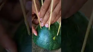 Watermelon Explosion Test &ndash; You&rsquo;ll Be Shocked! 💥🍉 #FruitFun