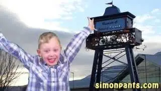 Simon Says: The Museum of Natural Curiosity