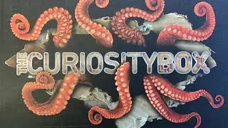 Curiosity Box #16 Unboxing (Summer 2020)