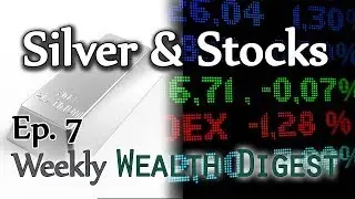 Still Buying Stocks &  Silver - WWD Ep. 7 (Weekly Wealth Digest)