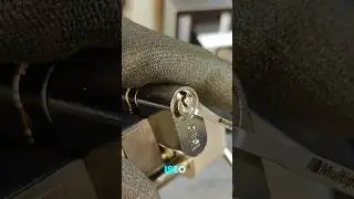 Ganzuado cilindro Oval ISEO #locksport #locksmith #tips #viralvideo #reels