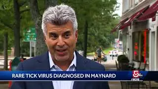 Rare, deadly tick virus transmitted to Massachusetts resident, officials say