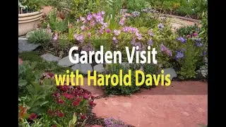 Visit Harold's Garden