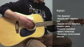 Бюджетная акустическая гитара, дредноут, HOMAGE LF-4111 N. Демо