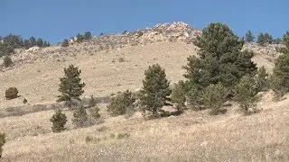 Runner suffocated mountain lion in act of self defense in Larimer County