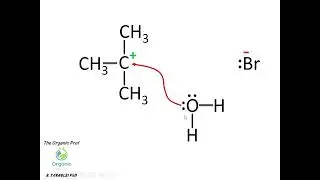 Réactions de substitution nucléophile SN1 des halogénures d'alkyle mécanisme animé Version Française