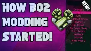 HOW BLACK OPS 2 MODDING STARTED! (ORIGINS OF MODDING!)