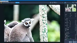 Topaz Adjust AI