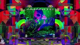 MEDXY - Amanite (Trippy Video)