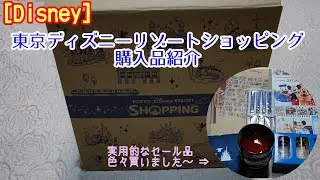 [Disney]東京ディズニーリゾートショッピング購入品紹介～実用的なセール品色々買いました～