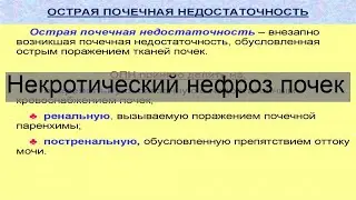 Некротический нефроз почек