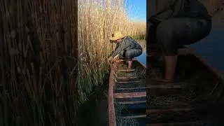 🐛 Unbelievable! Hidden beast emerges! ULTIMATE slimy monster catch NOW! Terrifying! #harvest #fyp