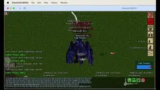 Sampire Solo Super Massive Nest TC1 - Ultima Online