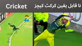 Unbelievable boundary catches in cricket. Amazing fielding | Sports | FactDropperTvee