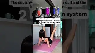 Full Body Exercise For Fat Lost || Kegel Exercise Strong Pelvic#shorts​ #다리용지​ #홠용지​ #오운완​#뱃살빼기​