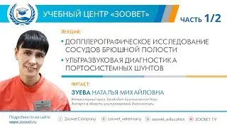 Н. М. Зуева в УЦ ЗООВЕТ | Ультразвуковая диагностика. Часть 1/2