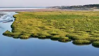 cueillette en baie d'Authie