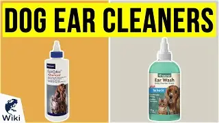 10 Best Dog Ear Cleaners 2020
