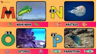 ABC Sea Animals Song for Kids | Learn Ocean Creatures A to Z! 🐠🐙🎶 | #abcd #kids
