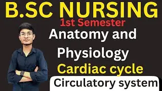 Cardiac cycle|Cardiovascular system|Bsc Nursing 1st semester|By Vaibhav Tailor 