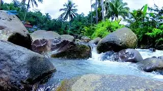 Flowing River Water ASMR for Stress Relief and Inner Peace 🌊😌🌿