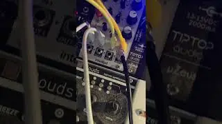 Patch du matin! #modularsynth #mrcarlitos #electronicmusıc #modularpatch #valleedelachimie