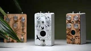 Un DELAY ANALOGIQUE comme je les aime ! | Anasounds Utopia Mk2