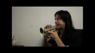 Pocket Trumpet