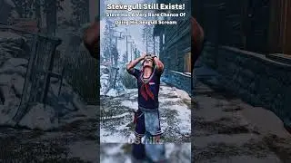 Stevegull Still Exists!
