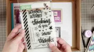 Simon Says Stamp January Card Kit 2015 Haul