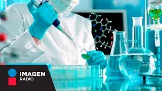 Importancia de la industria química en México