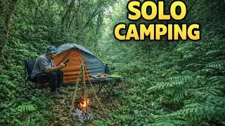 Alone in the Deep Forest | Solo Camping Journey
