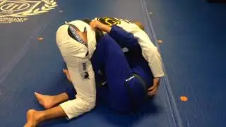 From Butterfly To X-Guard Sweep by Paul Halme