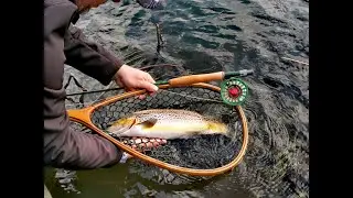 Releasing a wild brown trout from a Hidden Valley lake (Eastern Cape Highlands, South Africa)