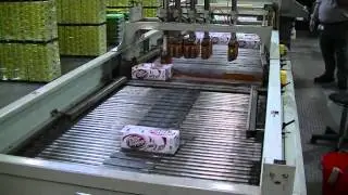 Alvey 942 High level case palletizer