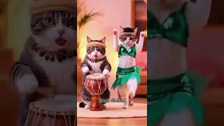 Cute cet dance #cet dance #cetadmission #cet video
