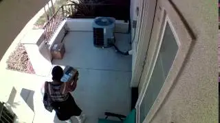 Blink Home Security Camera Catches Package Thief