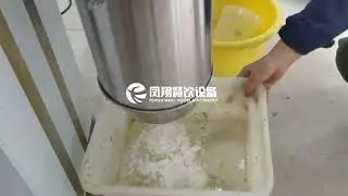 Raddish Carrot Paste Grinding Crushing Chopper Machine