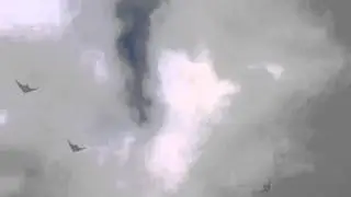 Kites