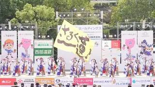 [4K] さるくCity4○3遊歩隊～一蓮風雅～　YOSAKOIさせぼ祭り 2025 日曜日 名切お祭り広場会場