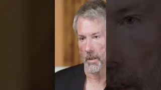 What is the source of volatility in crypto? according to Michael Saylor