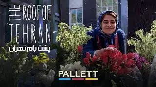 سال تا سال | The Roof of Tehran Official Music Video | پالت | Pallett Band