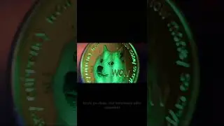 DOGE Rebounds on Volume Surge 🐶 | Powell Testimony Eyed 📊 | TradFi Grows a &lsquo;DeFi Mullet&rsquo; 🦾