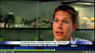 Steve Colvin interviewed by Newsplex on Copperhead snakebite increase