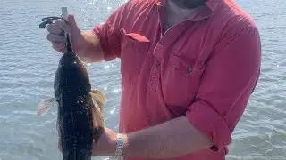 Moruya River Flathead 26/11/22