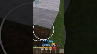 die by creeper my sheep 😭😭💔